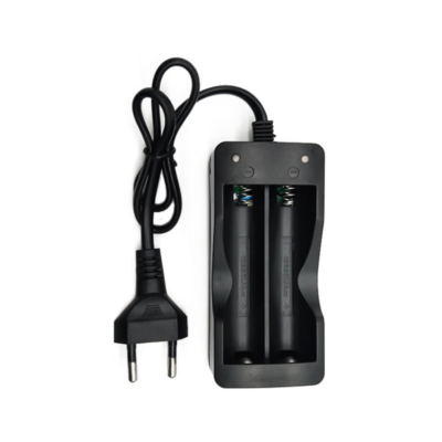 Chargeur 2 accus